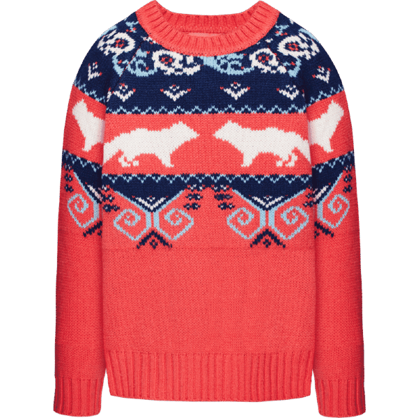 Sweater Colorful